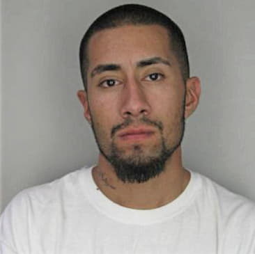 Calistro Bermudez - Hillsborough County, FL 