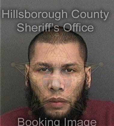 Timothy Blanton - Hillsborough County, FL 