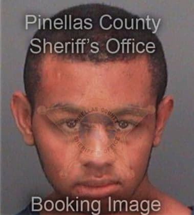 Joshua Devine, - Pinellas County, FL 