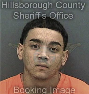 Timothy Jackson, - Hillsborough County, FL 