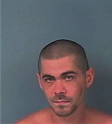 Joseph Mazzie, - Hernando County, FL 