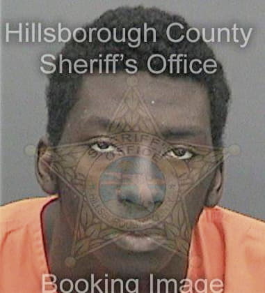 Mario Ming - Hillsborough County, FL 