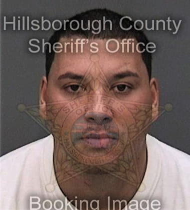 Luis Villarroel, - Hillsborough County, FL 