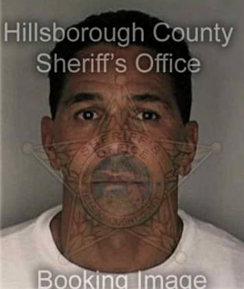 Daniel Wiles - Hillsborough County, FL 
