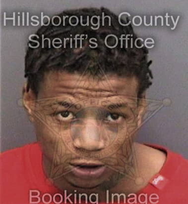 Michael Cohens - Hillsborough County, FL 