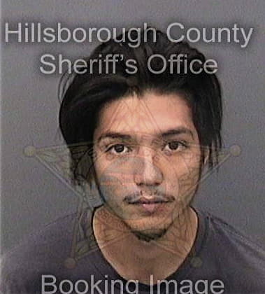 Aidan Delaney, - Hillsborough County, FL 