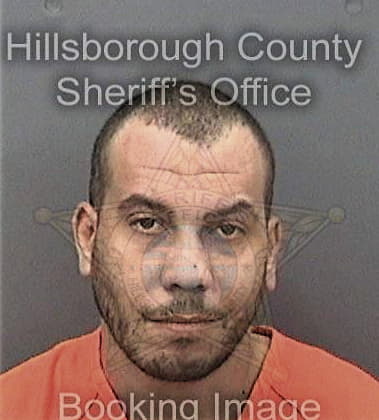 Luigi Destino, - Hillsborough County, FL 