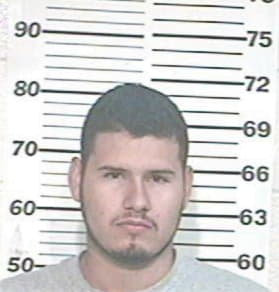 Gustavo Garcia, - Hidalgo County, TX 