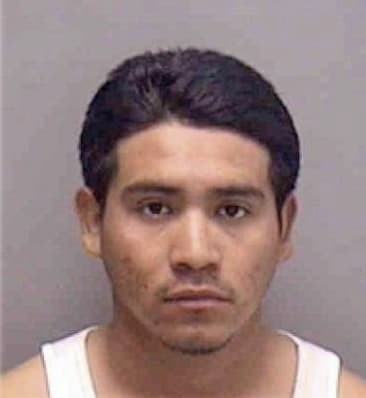 Martin Pasqual, - Lee County, FL 