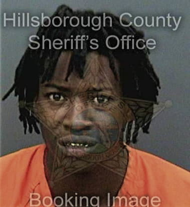Jasper Robinson - Hillsborough County, FL 