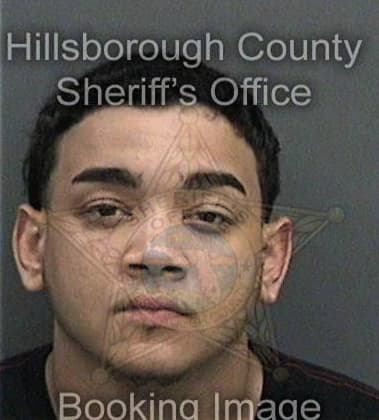 Faustin Romero, - Hillsborough County, FL 