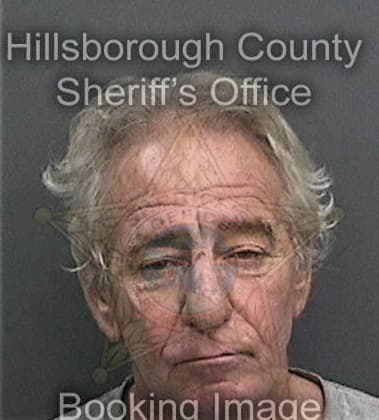 Anthony Vazquezsantos, - Hillsborough County, FL 