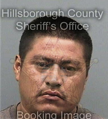 Jose Andinoherandez, - Hillsborough County, FL 