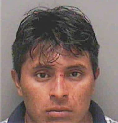 Manuel Castellanos, - Lee County, FL 