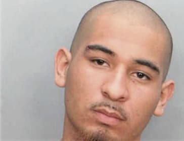 Harold Moya-Sanchez, - Dade County, FL 