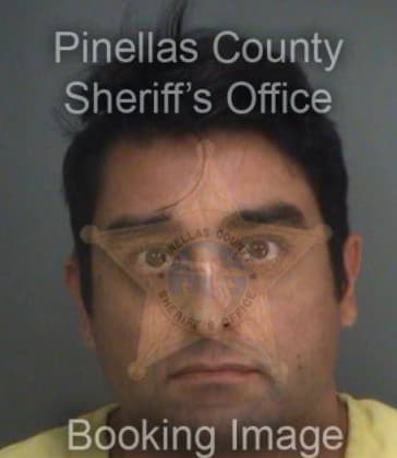 Timothy Turner, - Pinellas County, FL 