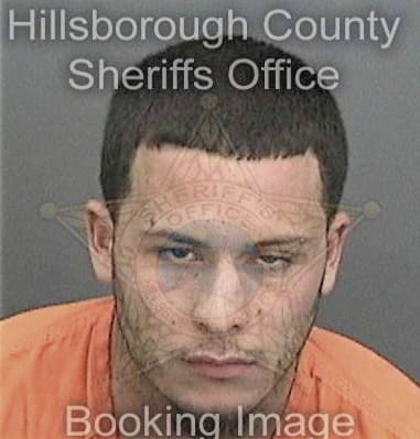 Michael Vensel, - Hillsborough County, FL 