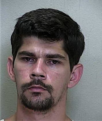 Daniel Balzarotti, - Marion County, FL 