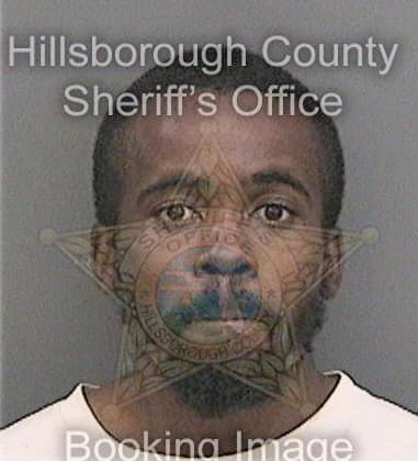 Ronald Miller - Hillsborough County, FL 