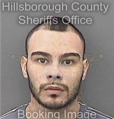 Thomas Miller - Hillsborough County, FL 