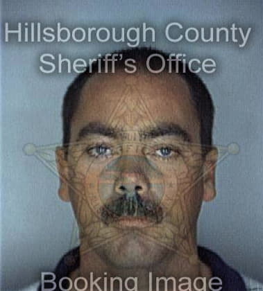 Alfredo Montijoramos, - Hillsborough County, FL 