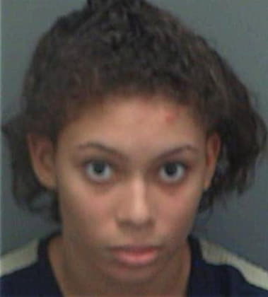 Mercedes Palmer, - Pinellas County, FL 