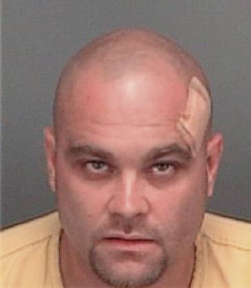 Charles Svetlanovich, - Pinellas County, FL 