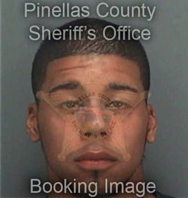 Dimas Alvarezvanegas, - Pinellas County, FL 