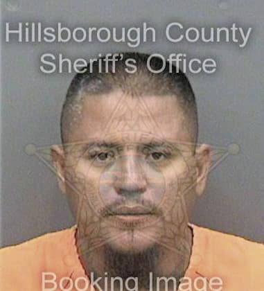 Andrew Bhagwandeen - Hillsborough County, FL 