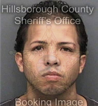 Aimee Colbert - Hillsborough County, FL 