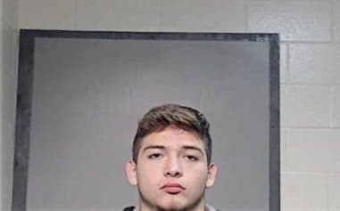 Alex Delaluz, - Hidalgo County, TX 