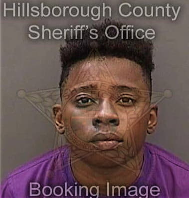 Priscilla Thomas, - Hillsborough County, FL 