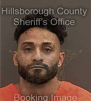 Thomas Bolduc - Hillsborough County, FL 