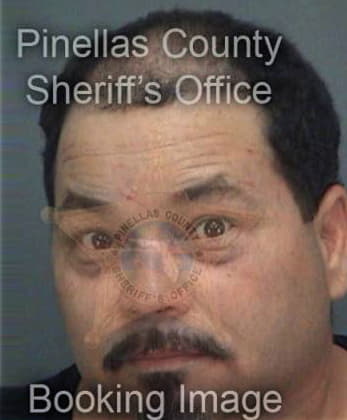 Joshua Delgado, - Pinellas County, FL 