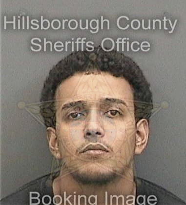 Ryan Flynn, - Hillsborough County, FL 