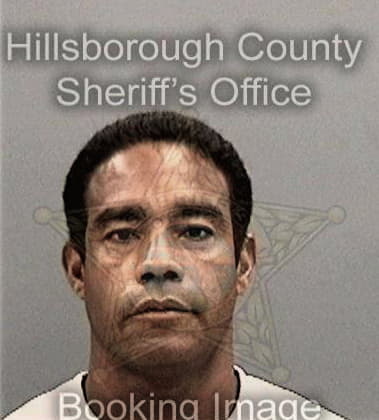 Bryan Coreau, - Hillsborough County, FL 