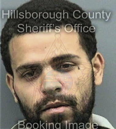 Matthew Craig, - Hillsborough County, FL 