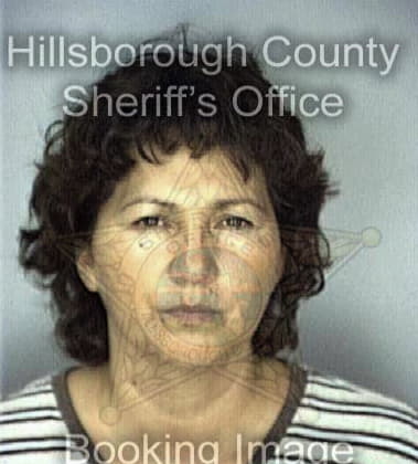 Lori Guggino, - Hillsborough County, FL 