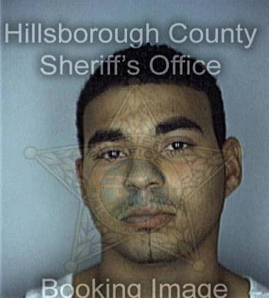 Micheal Lamoureux, - Hillsborough County, FL 