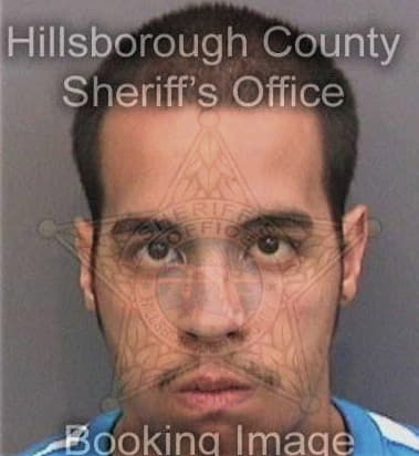 Anthony Lozada, - Hillsborough County, FL 