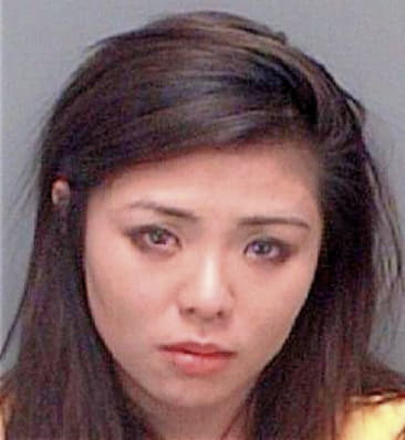 Diem Pham, - Pinellas County, FL 