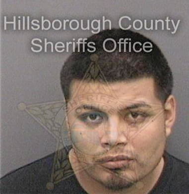 Raymel Sariego-Lazo, - Hillsborough County, FL 