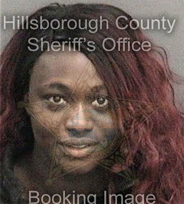 Priscilla Allan, - Hillsborough County, FL 