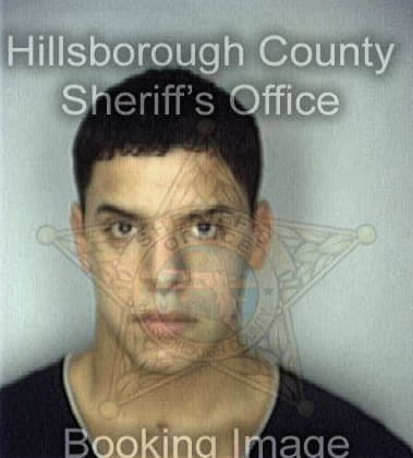 Filimon Duartegonzalez, - Hillsborough County, FL 