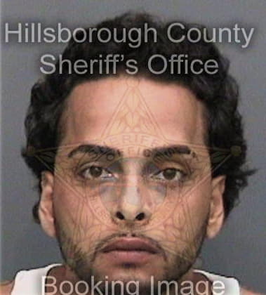 Travis Gallo, - Hillsborough County, FL 