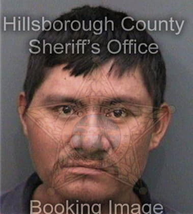 Randall Goldizen, - Hillsborough County, FL 