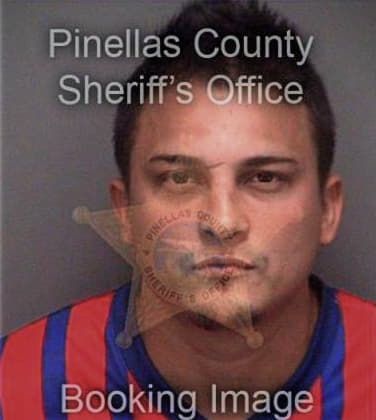 Ismael Gonzalez, - Pinellas County, FL 