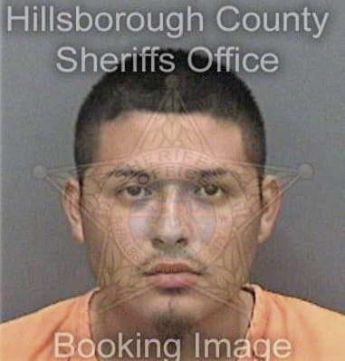 Guadalupe Perezdiaz, - Hillsborough County, FL 