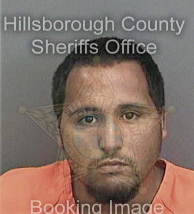 Julio Vargasperez, - Hillsborough County, FL 