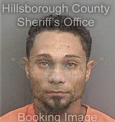 Jorge Bido - Hillsborough County, FL 